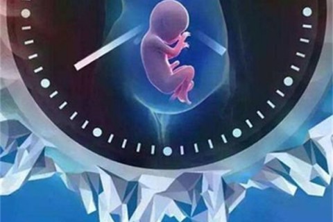 11个月无锡捐卵宝宝能力指标